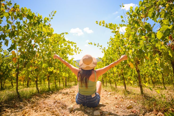 day trips to tuscany from rome