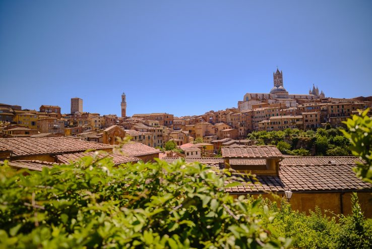 SienaSanGimignanoMonteriggioni&ChiantiWine-88 (1)
