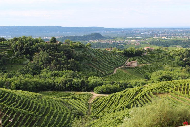 Veneto wine tour