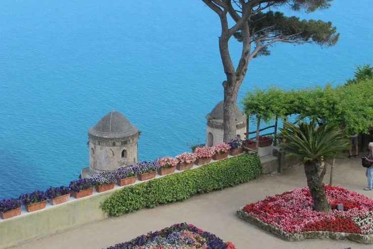 capri-398294_1280
