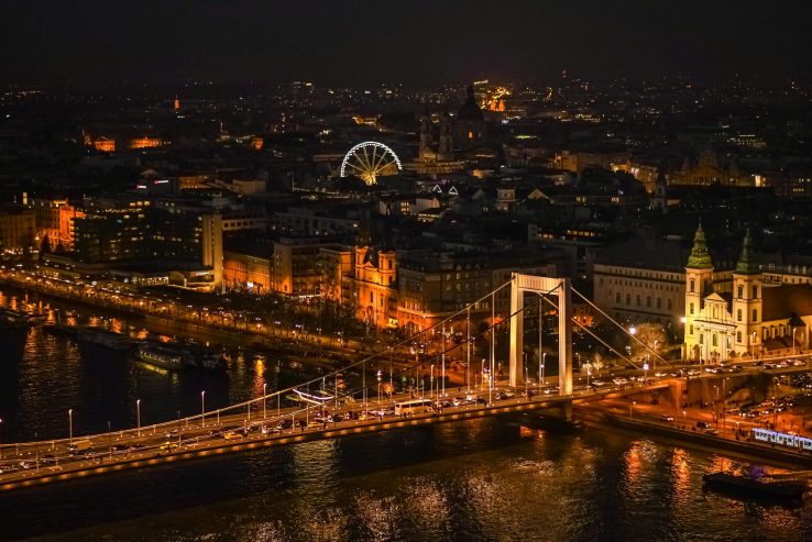 cruise at night